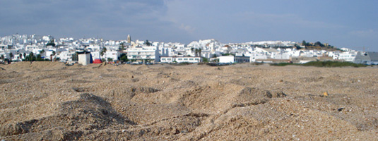 Guía playas de Conil de la Frontera