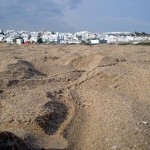 Conil, un mar de playas a elegir