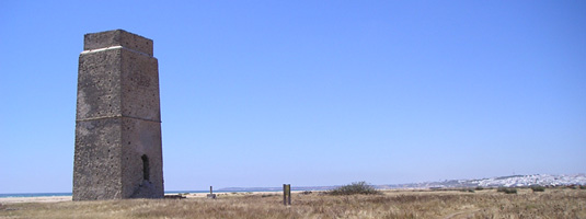 Playa Castilnovo en Conil