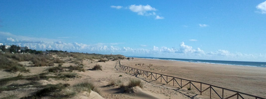 Playa El Palmar en Vejer