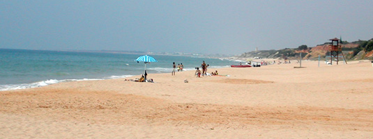 Playa de Roche en Conil