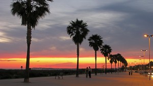 La noche en Conil