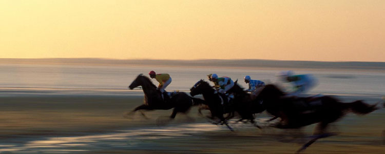 Caballos Sanlúcar de Barrameda